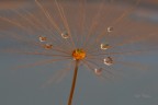 Satelliti_DSC8114 Satelliti_DSC8114