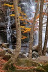 Cascate del Dardagna Cascate del Dardagna