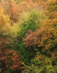 ottobre