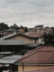 1 novembre 1 novembre