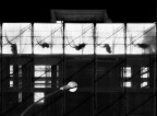 scenario urbano scenario urbano