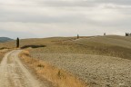 La stradina di campagna.. La stradina di campagna..
