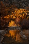 I colori dell'autunno I colori dell'autunno