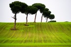 L'altra faccia dell'autunno L'altra faccia dell'autunno