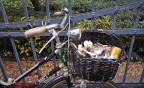 Autunno Autunno