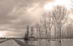 s.t. s.t.