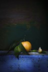 Still Life Still Life