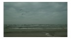 Mare...Autunno... Mare...Autunno...