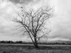 Autunno Autunno