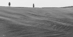 I due cipressi su la collina.. I due cipressi su la collina..