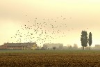 Paesaggio a Mazzone di Prato Paesaggio a Mazzone di Prato