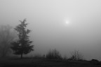 Silent Hill