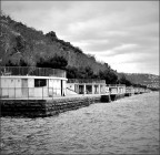 I Topolini di Trieste