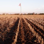 La Serenissima La Serenissima