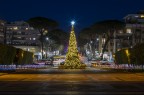 Auguri Auguri