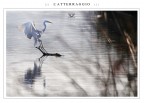 ::: L' A T T E R R A G G I O ::: ::: L' A T T E R R A G G I O :::