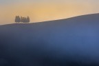 contrasti nebbiosi contrasti nebbiosi