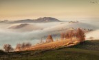 Foggy hills Foggy hills