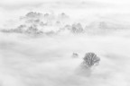 Foggy atmosphere Foggy atmosphere