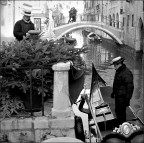 Venezia Venezia
