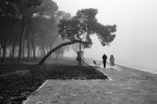 Venice Venice