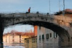 naviglio su olio... naviglio su olio...