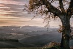 La quercia ed il tramonto La quercia ed il tramonto