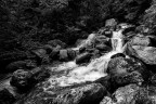 Torrent Torrent