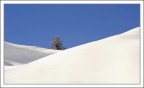 solitario nel freddo bianco... solitario nel freddo bianco...