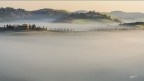 Sentinelle a guardia della nebbia..