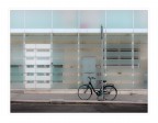bici al palo