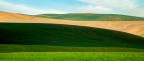 Crete senesi Crete senesi