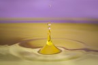 Drops Yellow and Pink Drops Yellow and Pink