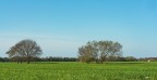 Un mare di Verde.. Un mare di Verde..