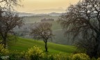 La campagna si colora La campagna si colora