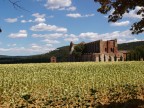 San Galgano : finalmente un poco di ombra San Galgano : finalmente un poco di ombra
