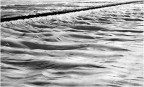 un mare di plastica un mare di plastica