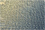 texture texture
