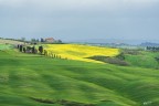 Verde.. giallo.. Verde.. giallo..