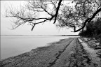Monfalcone Monfalcone