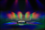 fior di luce fior di luce