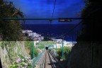 CAPRI CAPRI