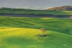 Val D'orcia.. Val D'orcia..