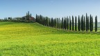 Vialetto cipressato... Sx Vialetto cipressato... Sx