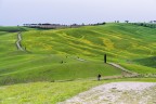 La lunga stradina di campagna.. Val d'orcia. La lunga stradina di campagna.. Val d'orcia.