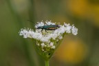 Macro_Mag2022 Macro_Mag2022