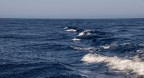 Onde nel blu Onde nel blu