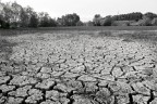 La secca dell'Astico La secca dell'Astico