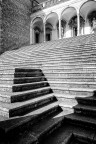 scala di grigi scala di grigi