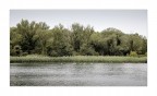 Foce dell'Isonzo Foce dell'Isonzo